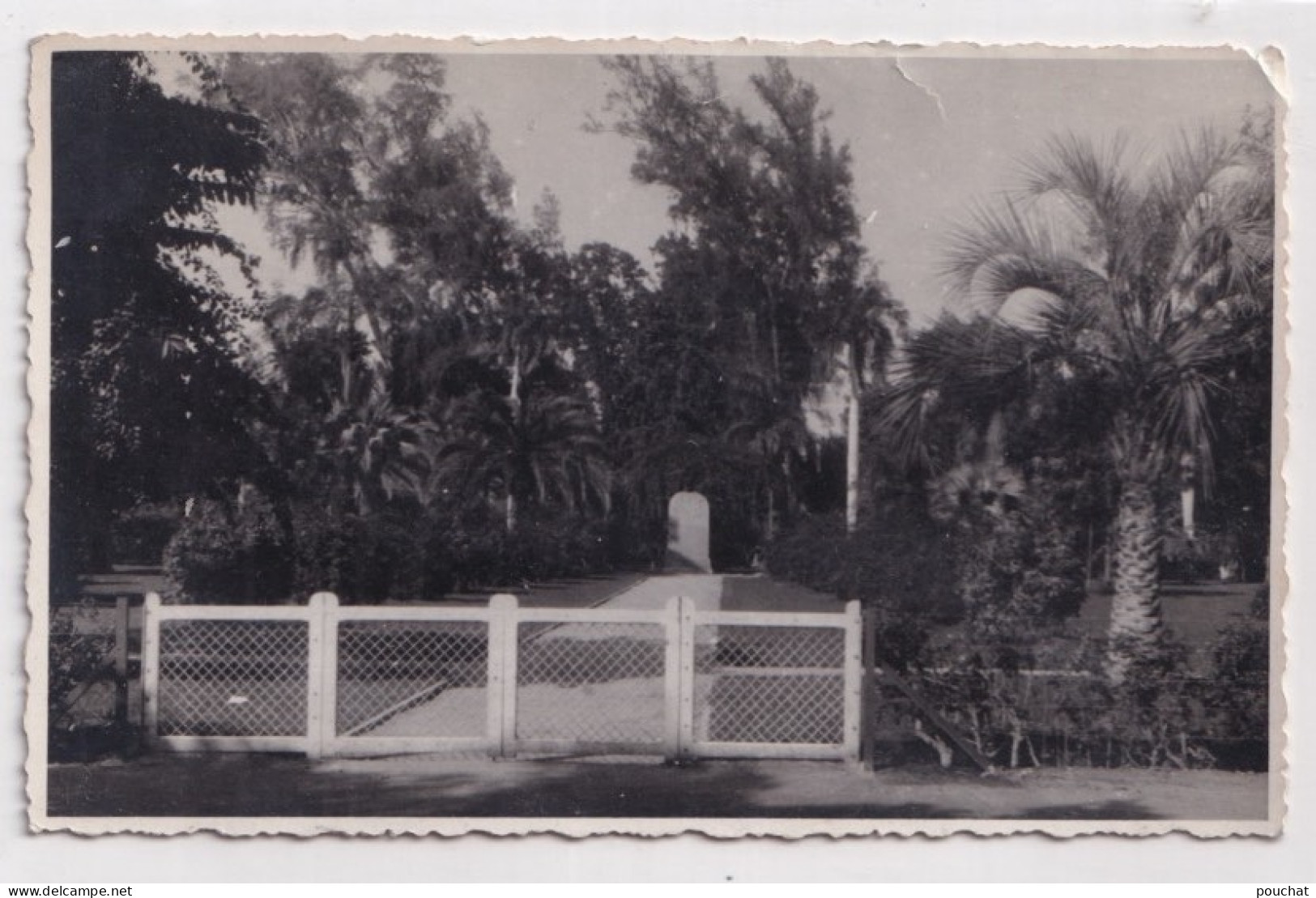 X1- ISMAILIA - EGYPT - EGYPTE - CARTE PHOTO - JARDIN DES STELLES - ( 2 SCANS ) - Ismaïlia