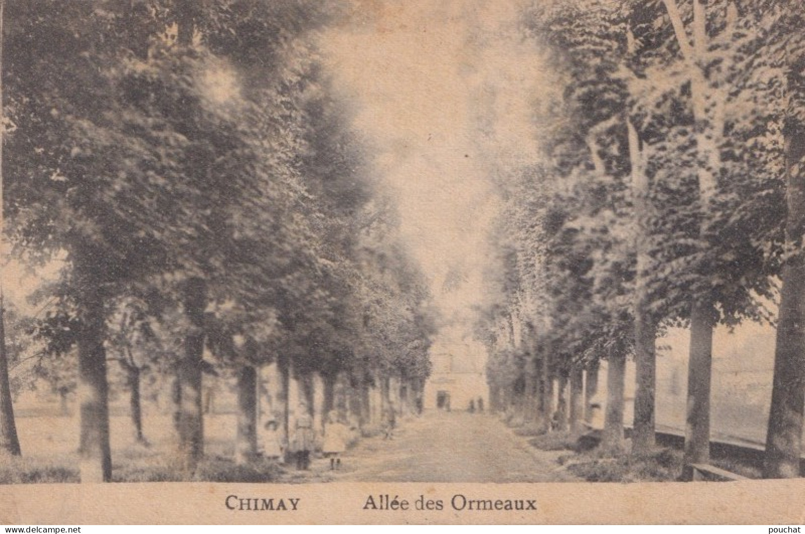 X7- CHIMAY -  ALLEE DES ORMEAUX - ( 2 SCANS ) - Chimay