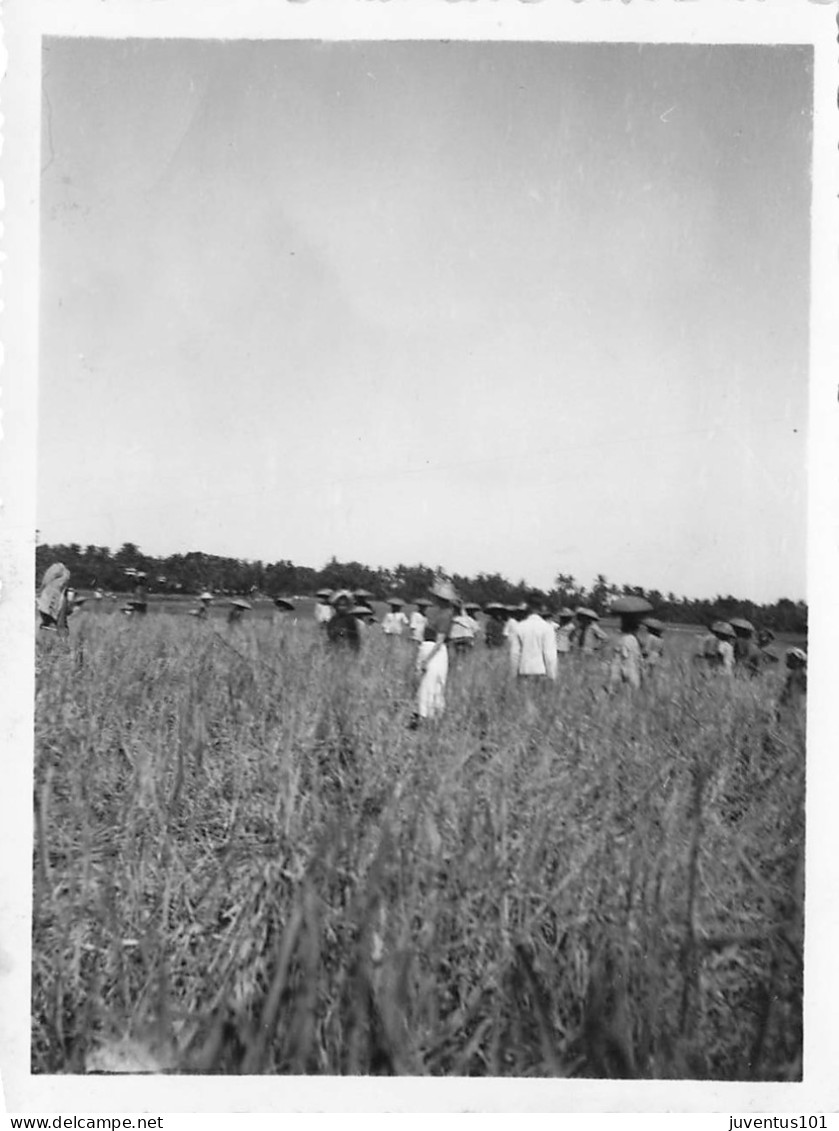 Photographie Bali-Rizière En 1937        L2820 - Asien