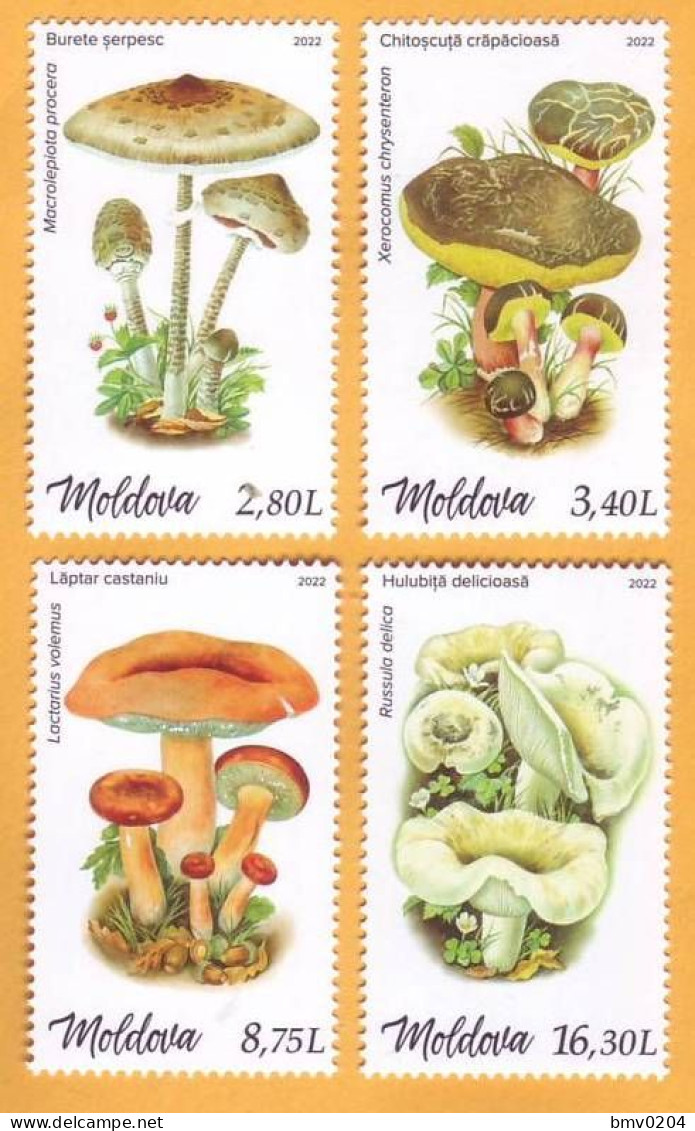 2022  Moldova Moldavie  Mushrooms, Plants, 4v Mint - Funghi