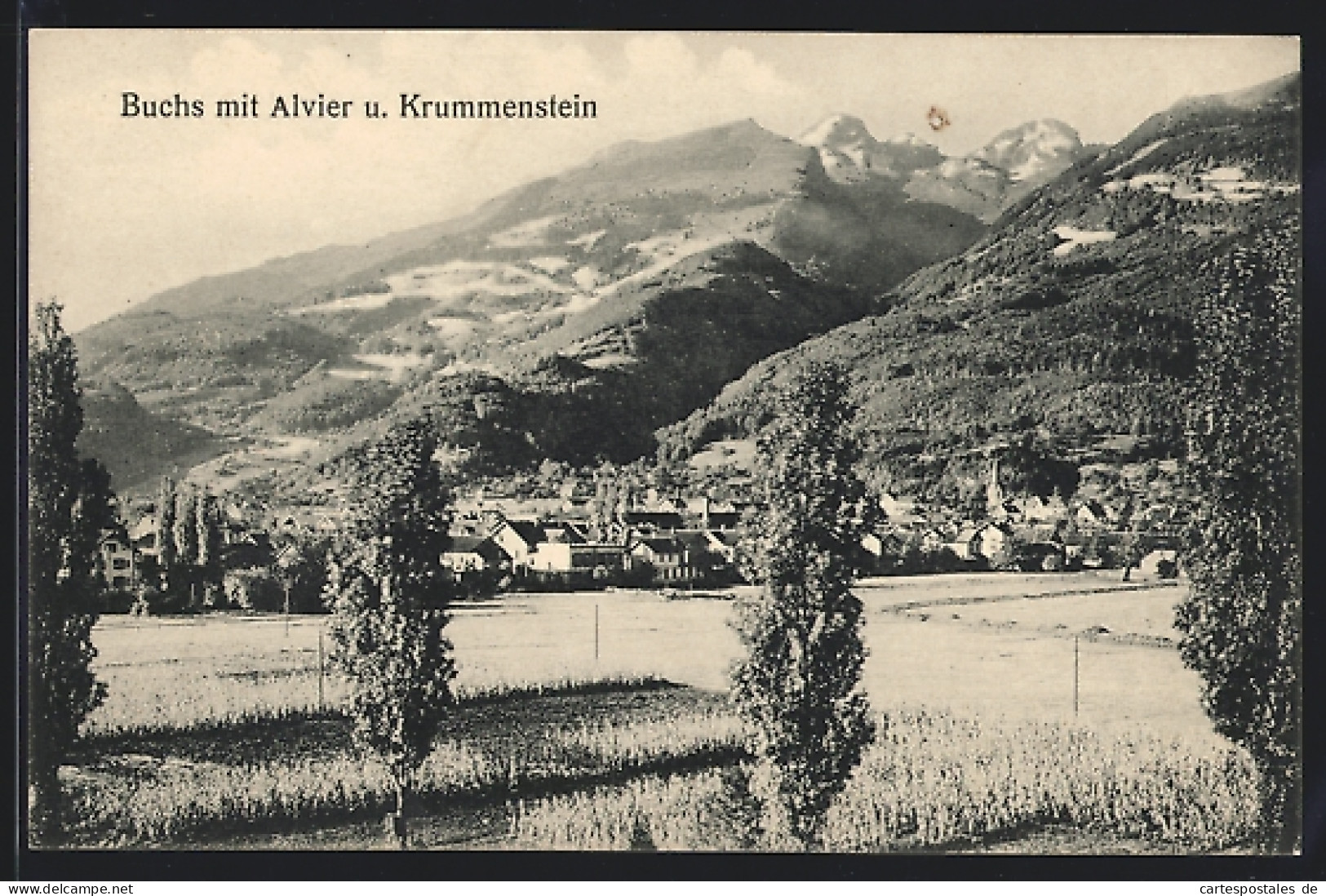AK Buchs, Blick Auf Die Ortschaft M. Alvier U. Krummenstein  - Buchs