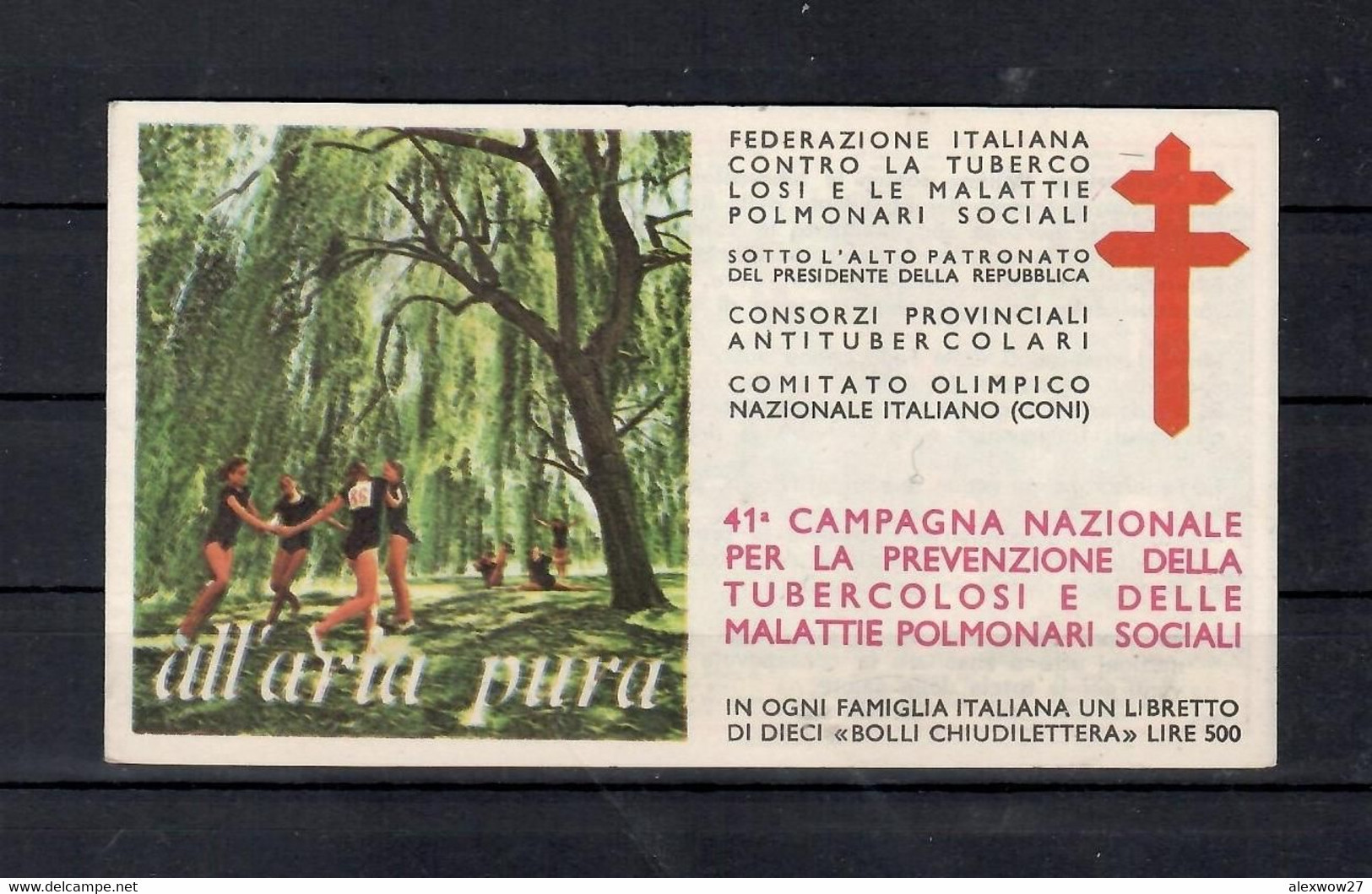 ITALIA - 41^ CAMPAGNA ANTITUBERCOLARE -  LIBRETTO ERINNOFILI - MNH - Cinderellas