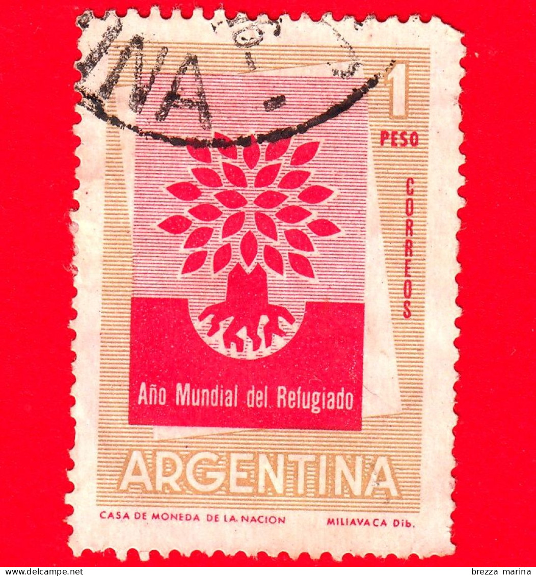 ARGENTINA - Usato - 1960 - Anno Mondiale Del Rifugiato - 1 - Oblitérés