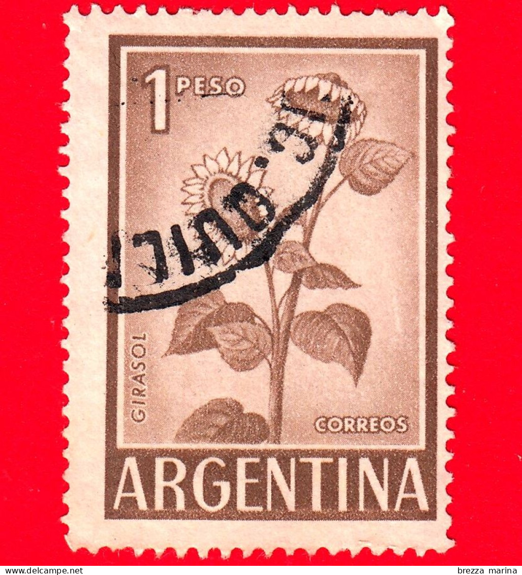 ARGENTINA - Usato - 1961 - Fiori - Girasoli - Sunflower - 1 - Usati