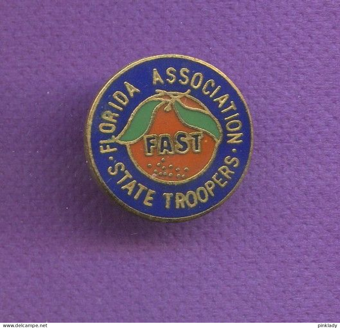 Rare Pins Fruit Orange Florida Floride Usa Egf Q136 - Alimentation