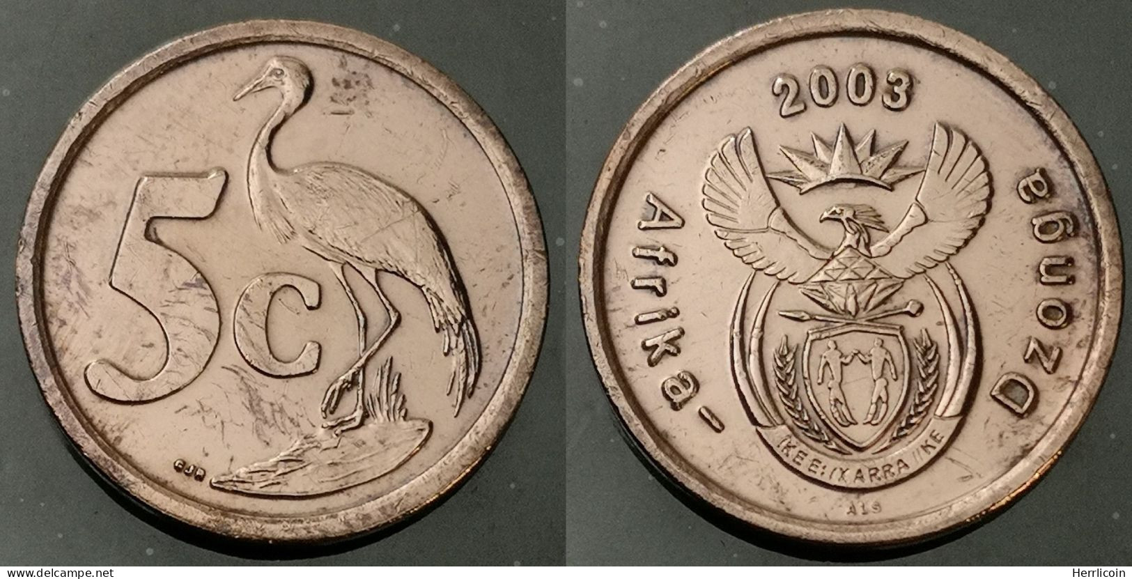 Monnaie Afrique Du Sud - 2003  - 5 Cents En Tsonga - AFRIKA DZONGA - Zuid-Afrika