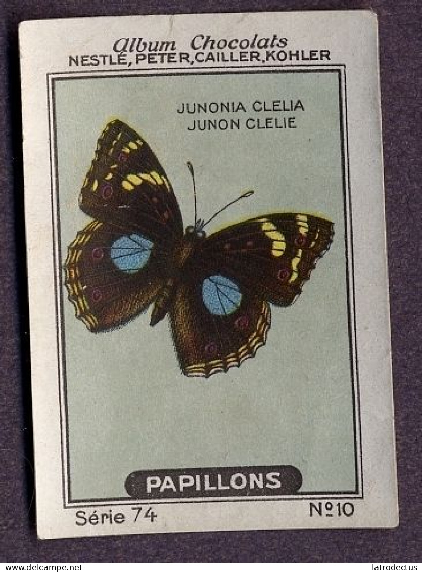 Nestlé - 74 - Papillons, Butterflies - 10 - Junonia Clelia, Junonia Oenone, The Blue Pansy - Nestlé