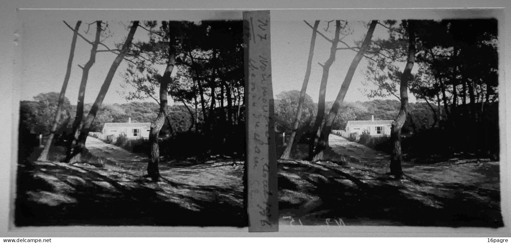 LOT DE 9 PLAQUES DE VERRE STÉRÉO. ÎLE DE NOIRMOUTIER. VENDÉE. 1931,1932 ET 1936. - Plaques De Verre