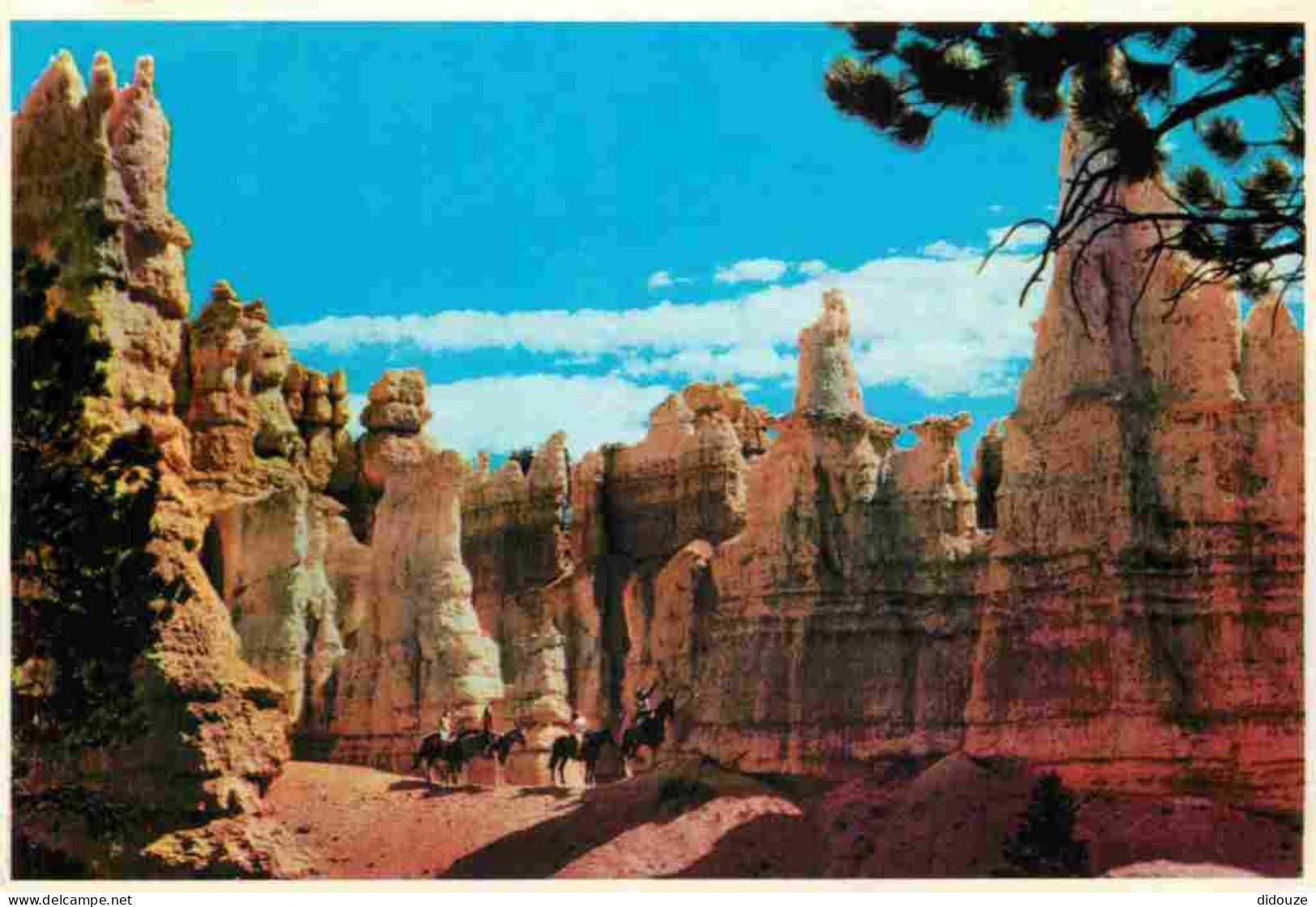 Etats Unis - Bryce Canyon National Park - Queen Victoria - Etat De Utah - Utah State - CPM - Carte Neuve - Voir Scans Re - Bryce Canyon