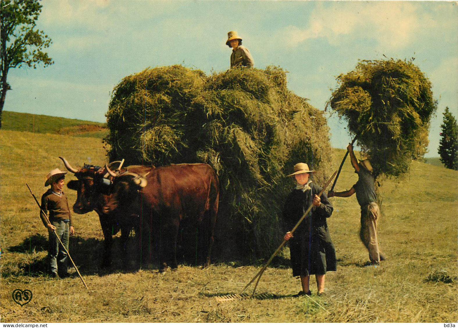 ATTELAGE DE BOEUFS LA FENAISON - Attelages