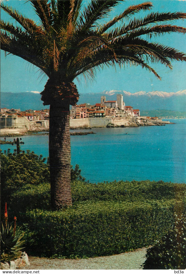 06 ANTIBES - Antibes - Old Town