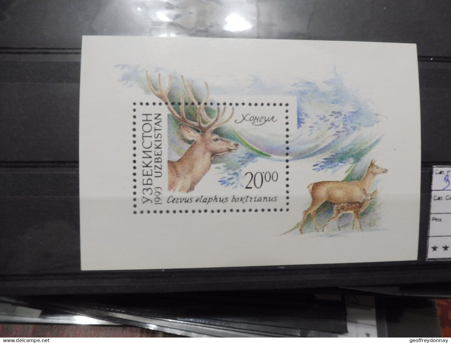 Wwf  Uzbekistan Oubekistan  Bl Bloc Blok 1 Et 6A Animaux Dieren Animals  Mnh Neuf ** - Neufs