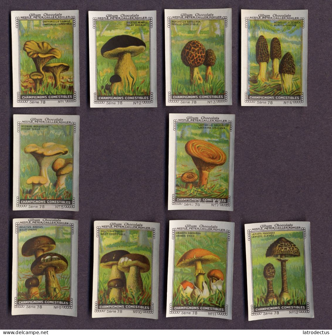 Nestlé - 78 - Champignons Comestibles, Edible Mushrooms - Serie (2 Missing) - Nestlé