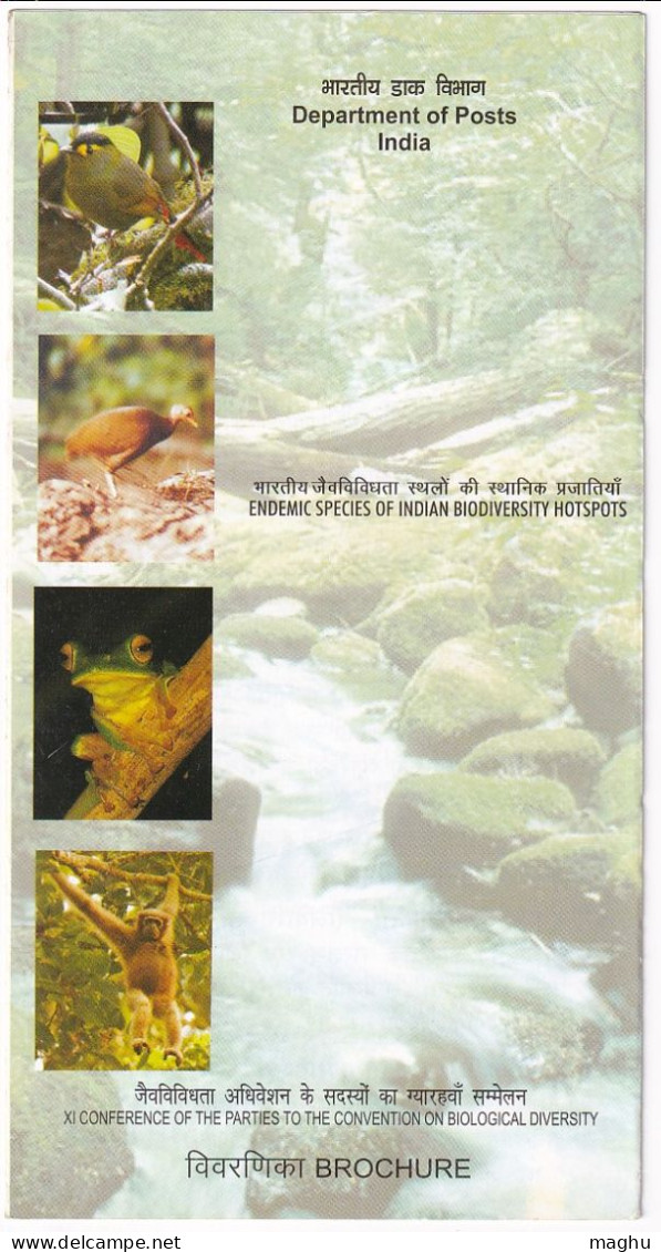 Info., On Endemic Species Biodiversity, Bird, Frog,Hoolock Gibbon, Nicobar Megapode, Begun Liocichla India 2012 - Ranas