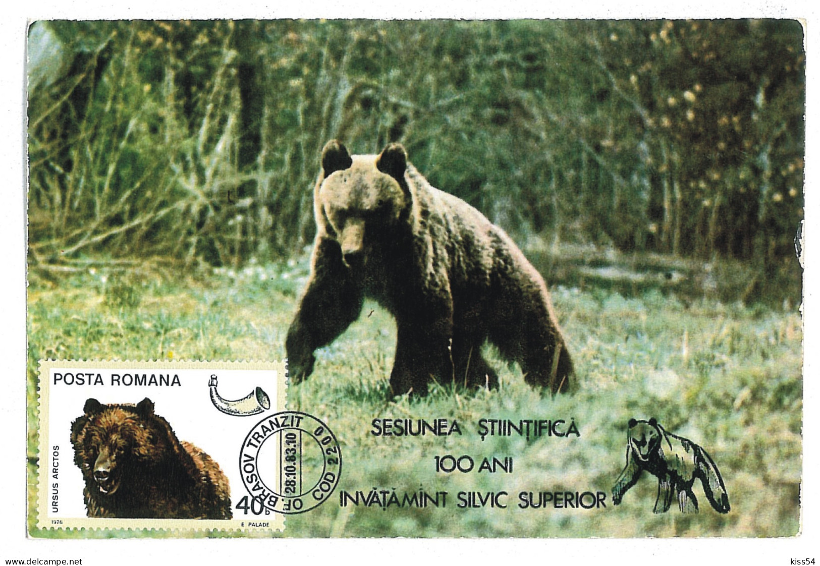 MAX 56 - 601 BEAR, Romania - Maximum Card - 1983 - Beren