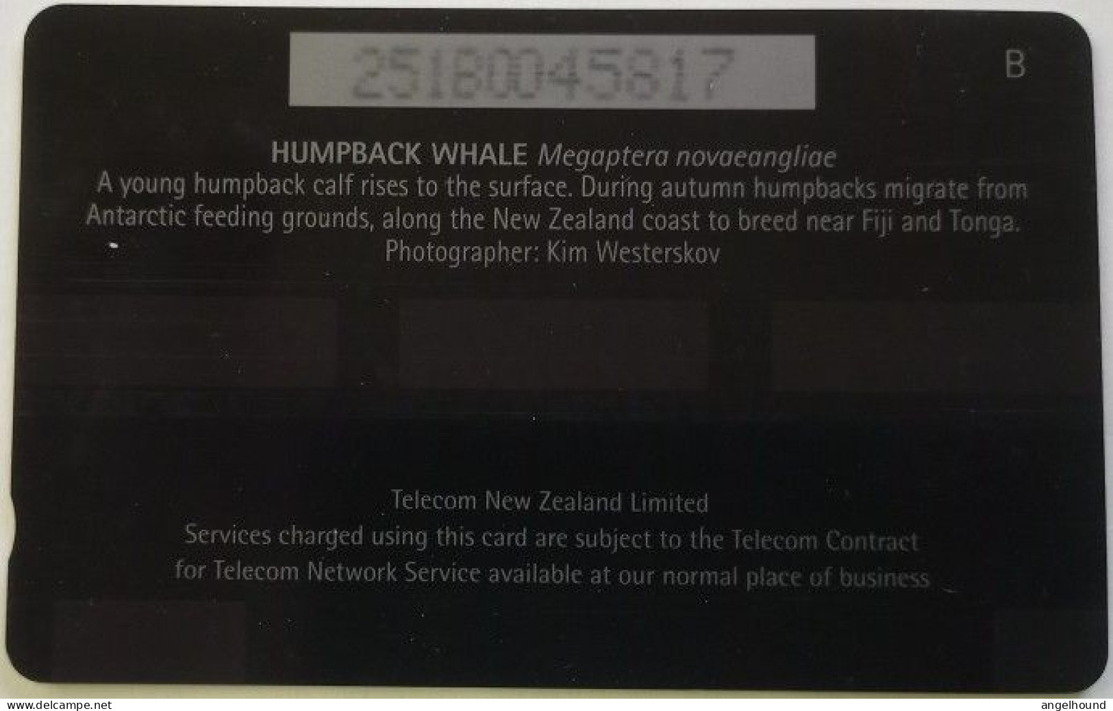 New Zealand $5 GPT  251B -Humpback Whale - Nuova Zelanda