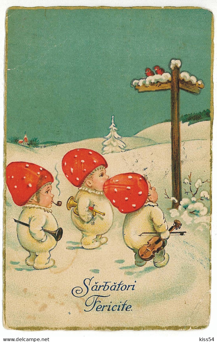 RO 58 - 5232 MUSHROOMS, Romania, CHAMPIGNONS - Old Postcard - Used - 1928 - Mushrooms