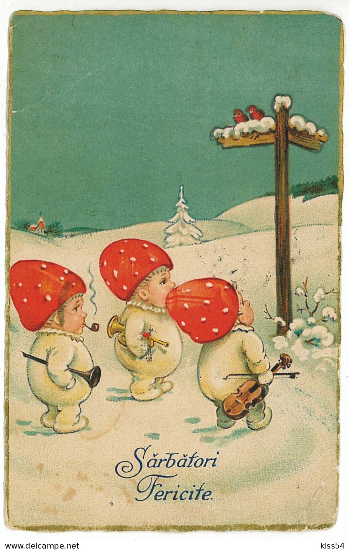 RO 58 - 5232 MUSHROOMS, Romania, CHAMPIGNONS - Old Postcard - Used - 1928 - Paddestoelen