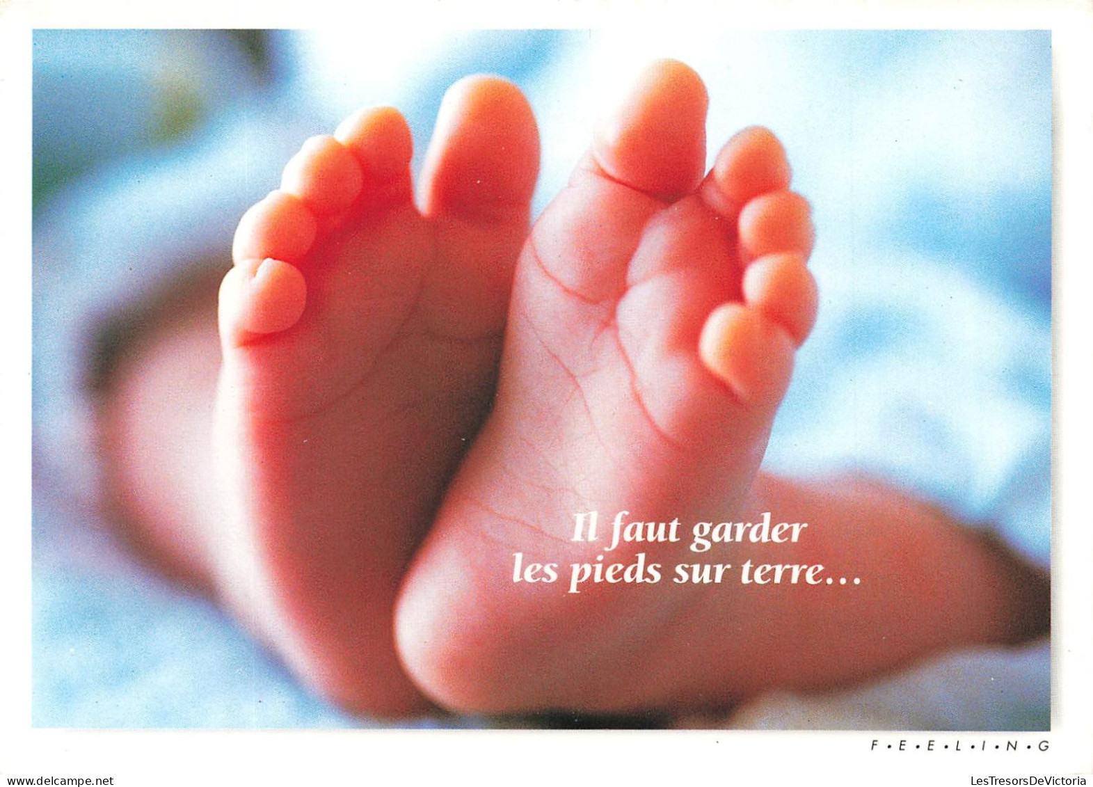 FANTAISIES - Il Faut Garder Les Pieds Sur Terre - F.E.E.L.I.NG - Colorisé - Carte Postale - Bébés