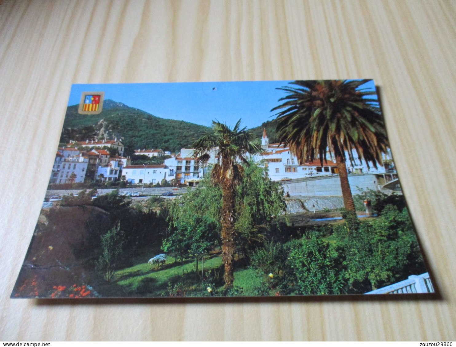 Amélie-les-Bains (66).Vue Générale. - Amélie-les-Bains-Palalda