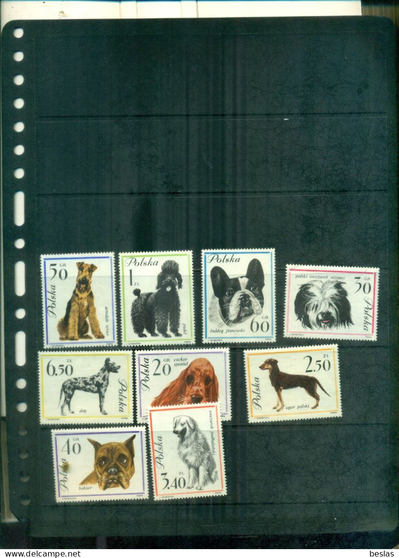 POLOGNE CHIENS 9 VAL NEUFS A PARTIR DE 2,25 EUROS - Unused Stamps