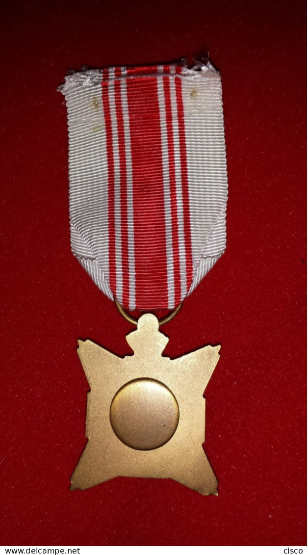 BELGIQUE Médaille De Remerciement De La Croix Rouge Pour Donneur De Sang - Belgien