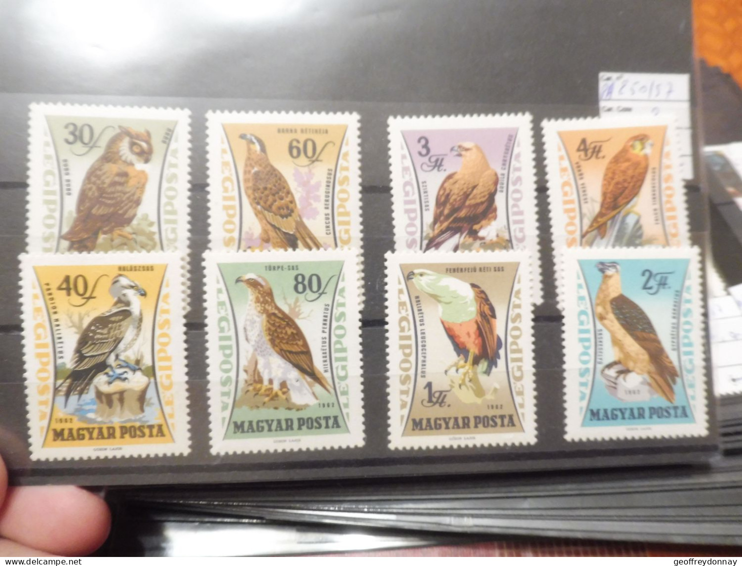 Hongrie Magyar Pa PA Poste Aerienne Aero 250/257 Mnh Neuf ** Rapaces Parfait Perfect - Unused Stamps