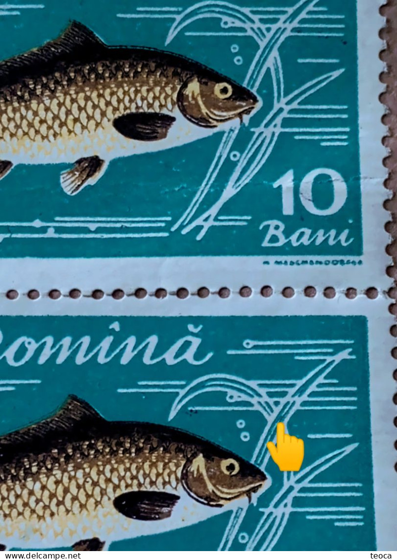 Error Romania 1960, MI# 1927 Pair, FISHES, Crap Printed With Dashed, Used Round Cancel Timișoara - Abarten Und Kuriositäten