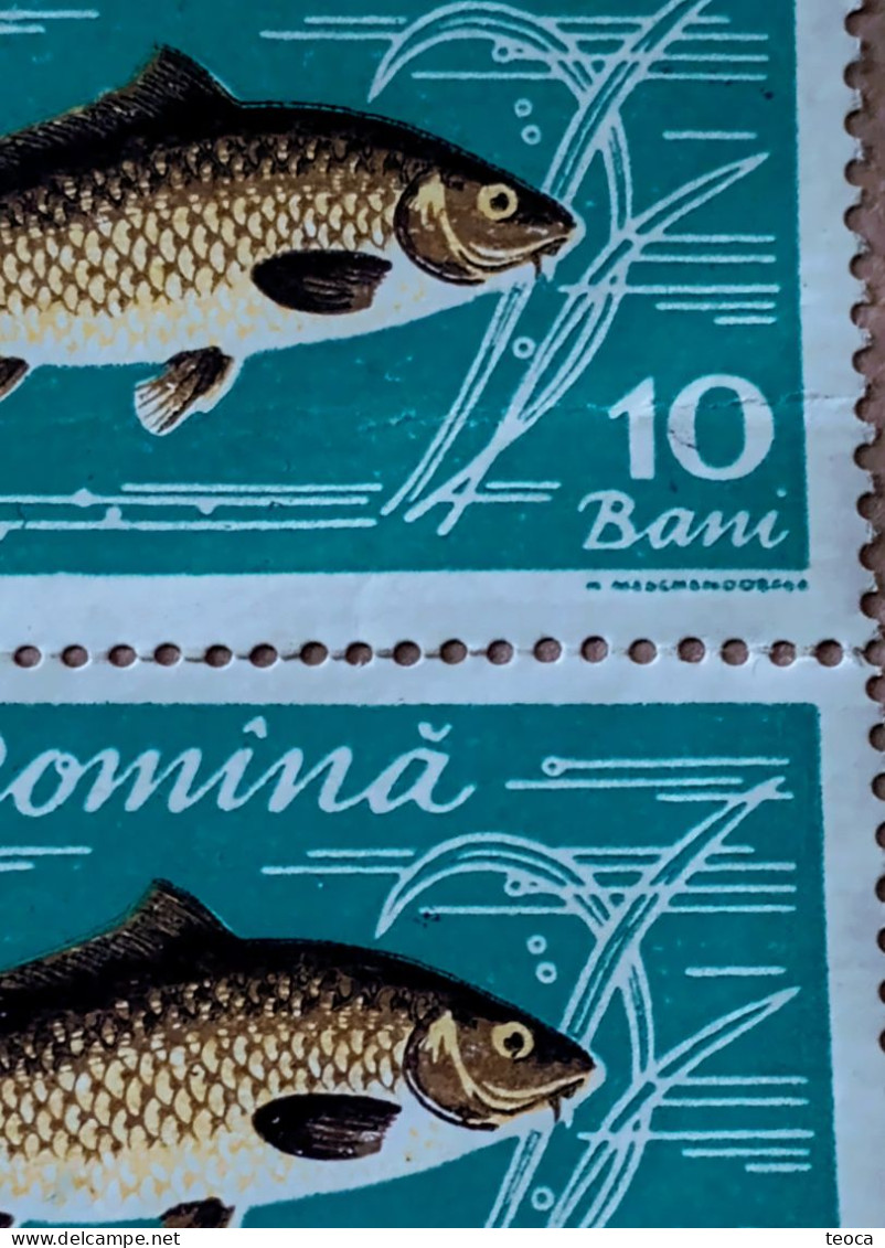 Error Romania 1960, MI# 1927 Pair, FISHES, Crap Printed With Dashed, Used Round Cancel Timișoara - Errors, Freaks & Oddities (EFO)