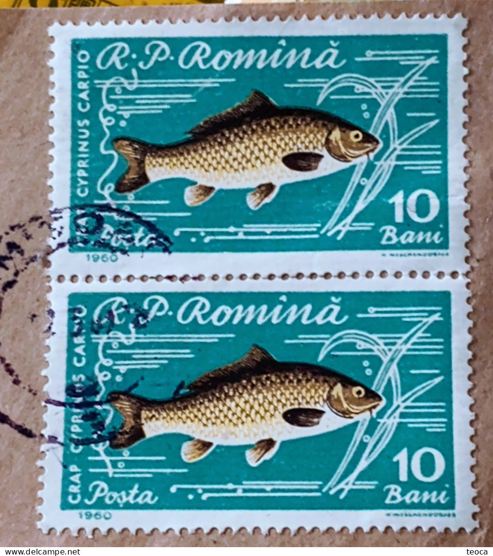 Error Romania 1960, MI# 1927 Pair, FISHES, Crap Printed With Dashed, Used Round Cancel Timișoara - Variétés Et Curiosités
