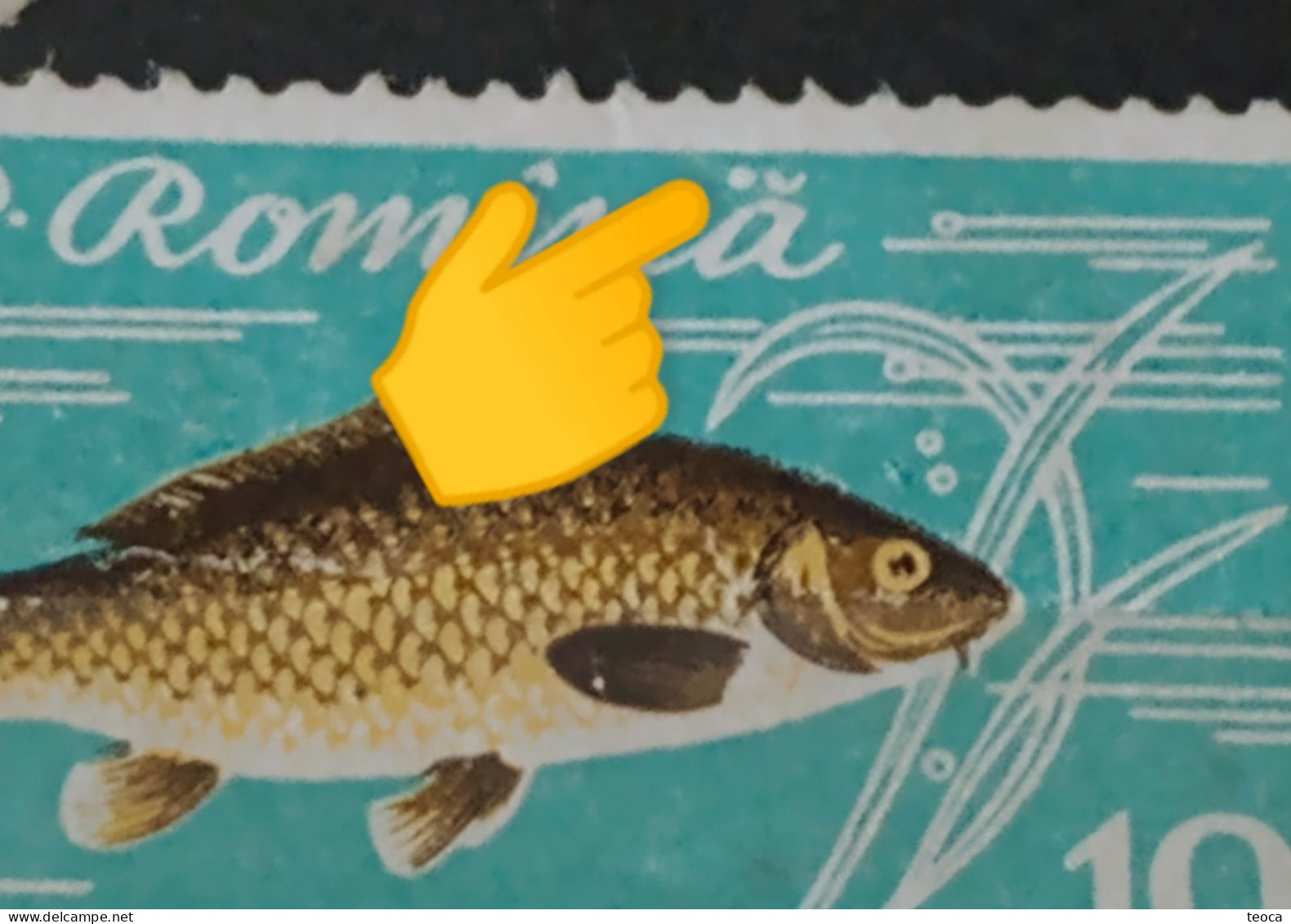 Stamps Errors Romania 1960, MI# 1927, FISHES, Crap Printed With Full Circle, Dot, Next To The Letter "ă" Used Stamp - Varietà & Curiosità