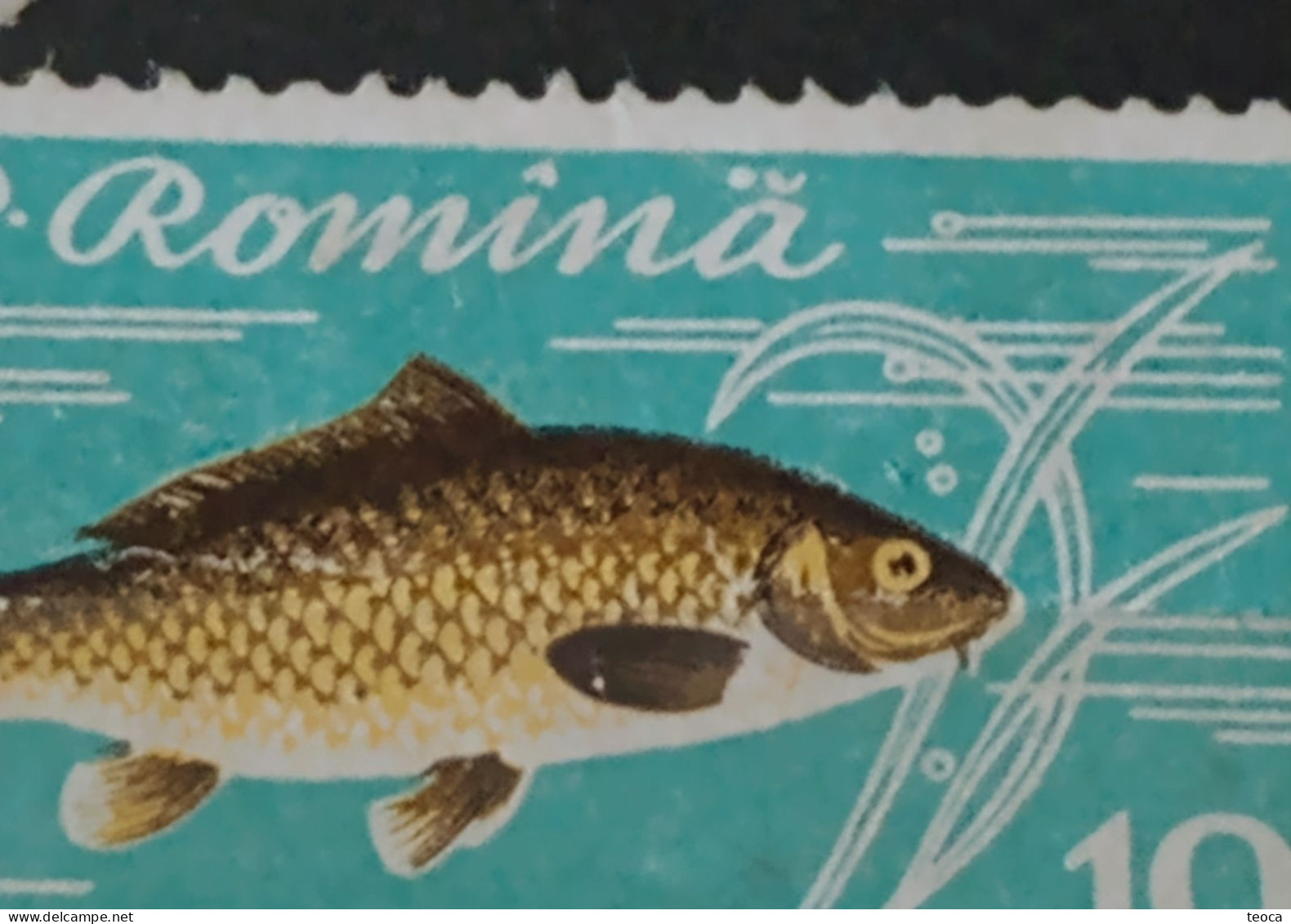 Stamps Errors Romania 1960, MI# 1927, FISHES, Crap Printed With Full Circle, Dot, Next To The Letter "ă" Used Stamp - Variedades Y Curiosidades