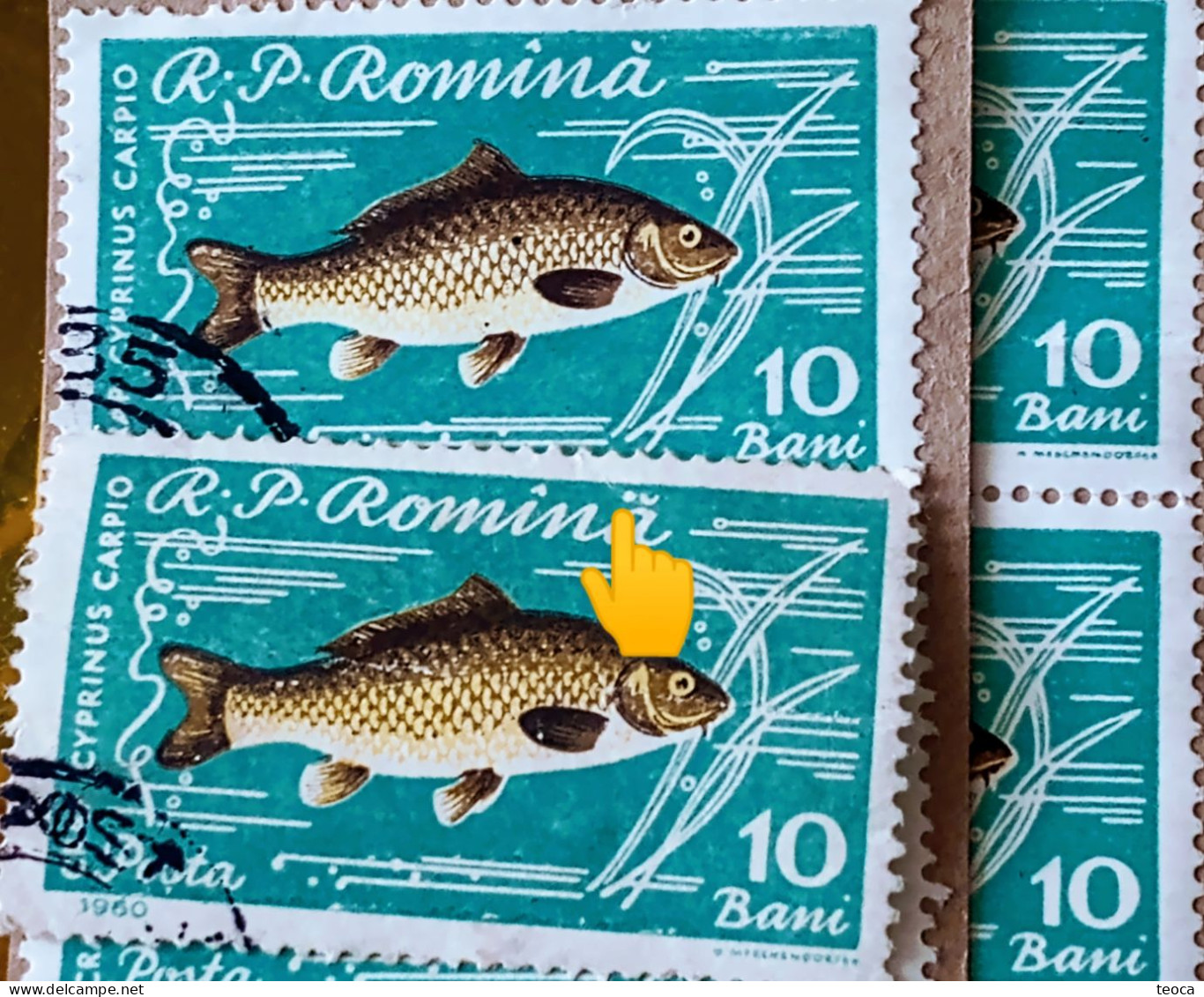 Stamps Error Romania 1960 # Mi 1927, FISHES, Crap Printed With Full Circle, Dot, Next To The Letter "ă" Used Stamp - Plaatfouten En Curiosa