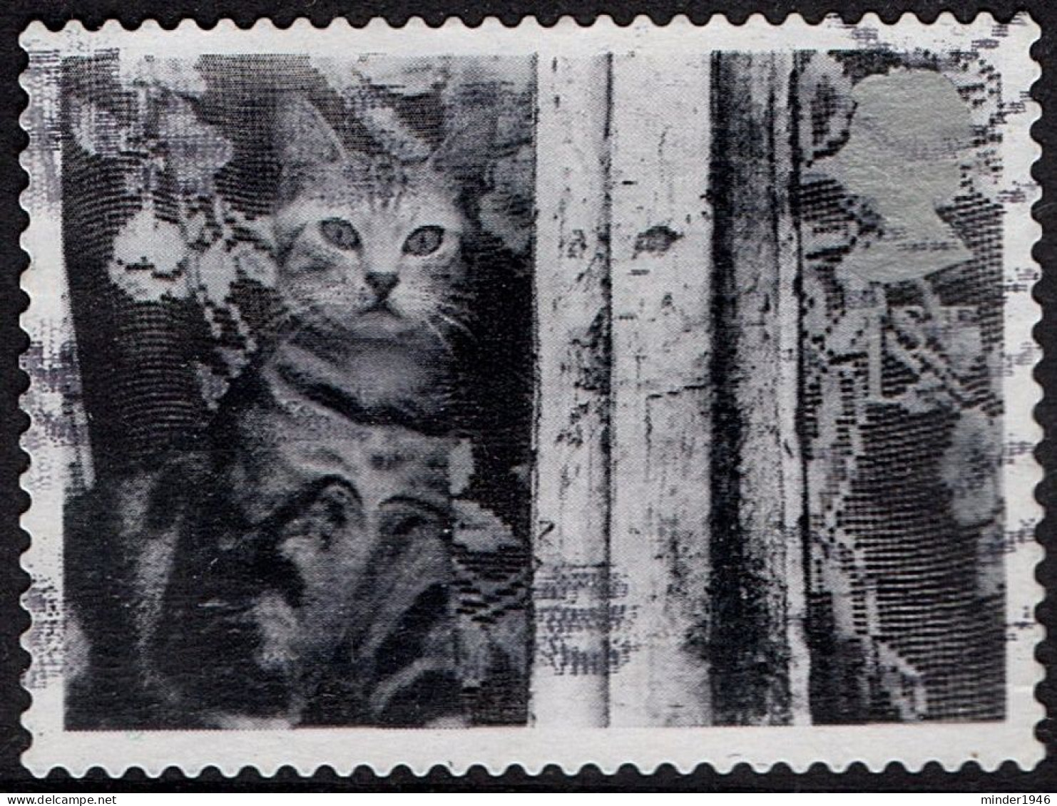 GREAT BRITAIN 2001 QEII 1st Black & Grey, Cats & Dogs-Cat Behind Curtain SG2193 Used - Usados