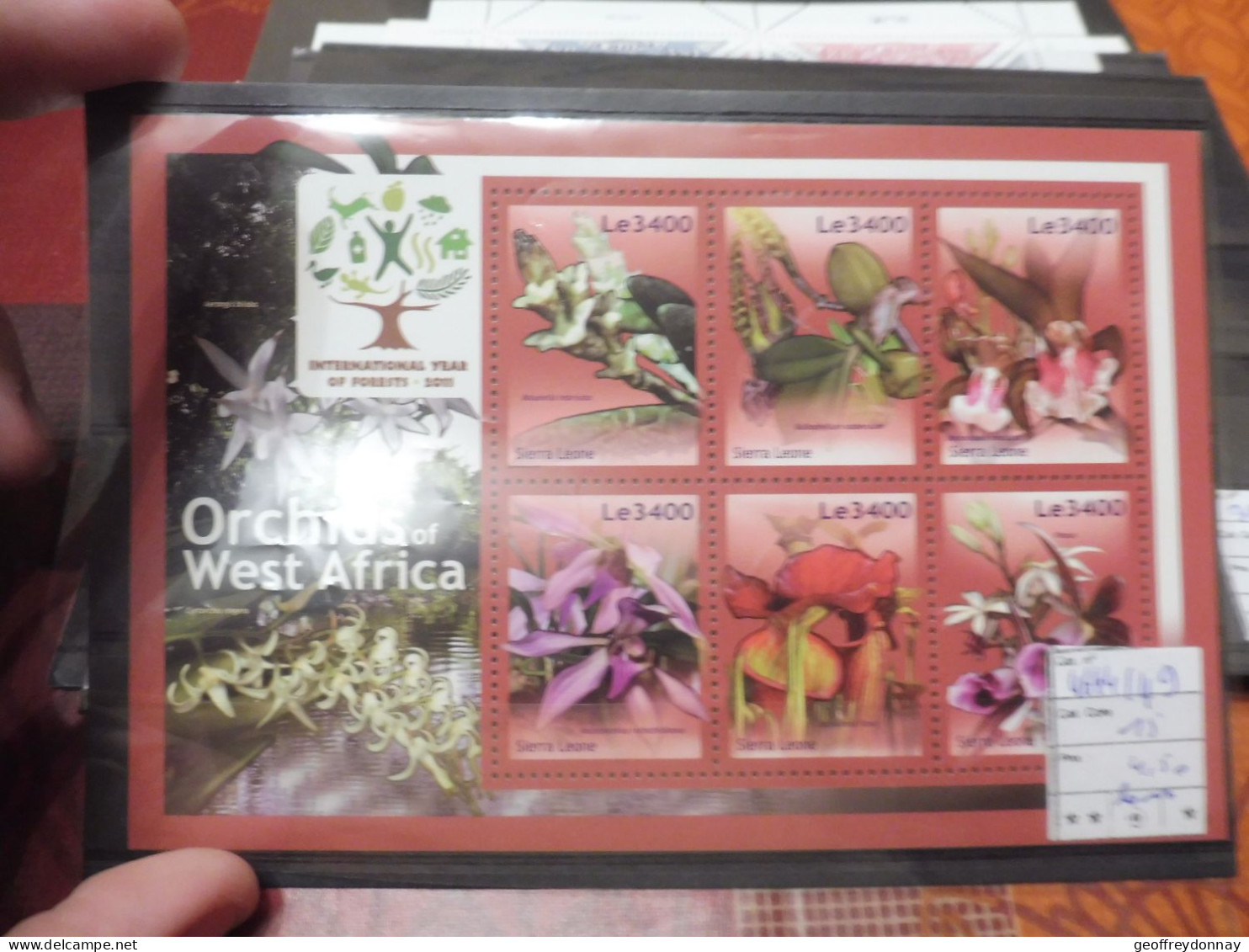 Orchids Orchidée Sierra Leone Serie Reeks 4644/4649 Mnh Neuf ** Perfect Parfait (2011 ) - Orchidee