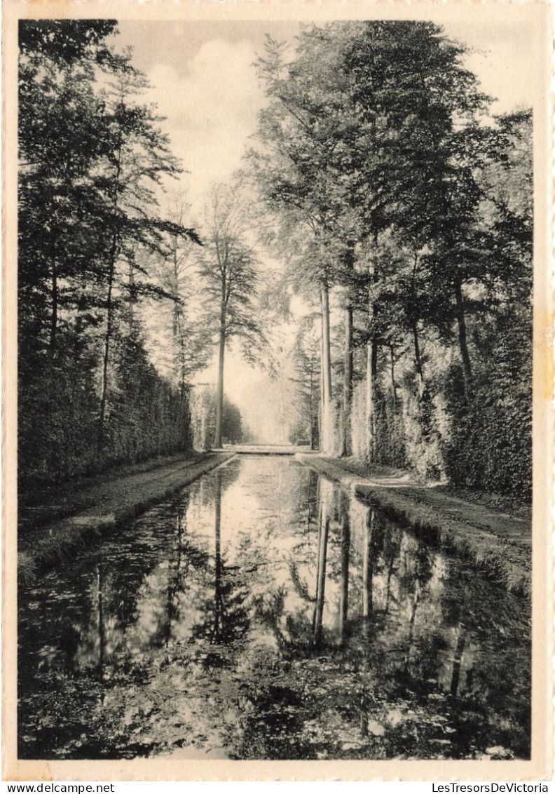 BELGIQUE - Belœil - Château De Belœil - Les Miroirs - Carte Postale - Beloeil