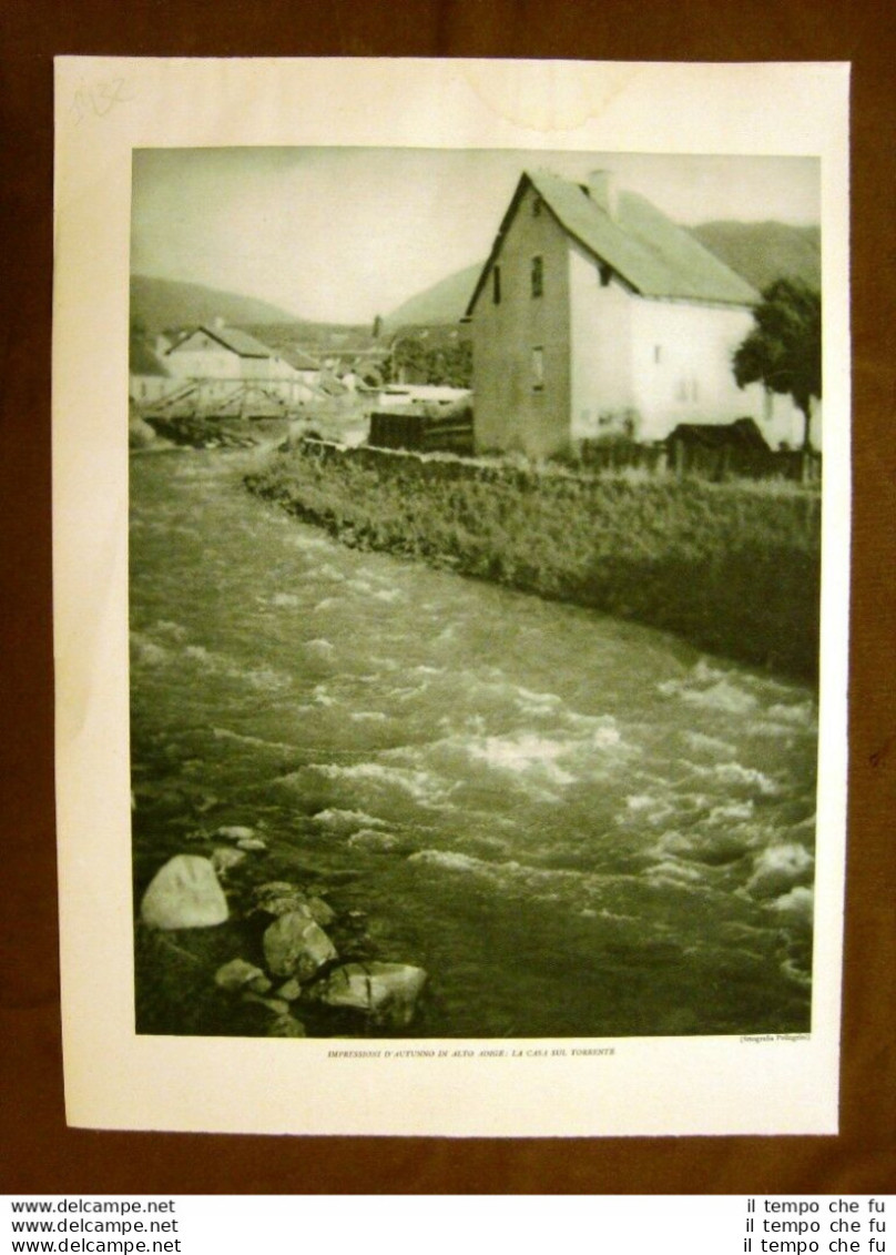 In Alto Adige Nel 1932 La Casa Sul Torrente - Andere & Zonder Classificatie