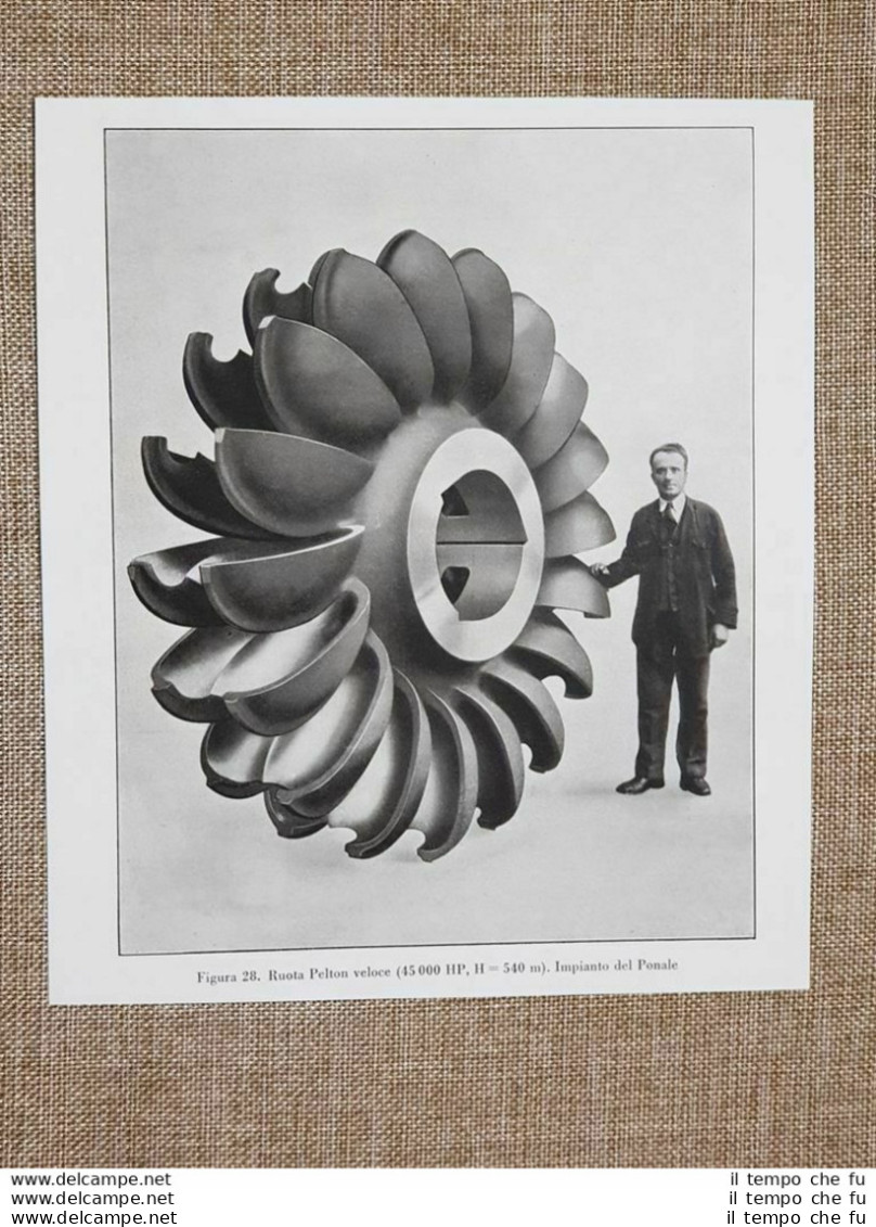 La Centrale Idroelettrica Del Ponale E Di San Dalmazzo Di Tenda Nel 1934 Pelton - Altri & Non Classificati