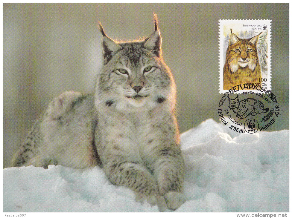 WWF - 280,32 - € 1,56 - D' CM-MC - 25-8-2000 - 100k - Eurasian Lynx - Belarus 1277212 - Other & Unclassified