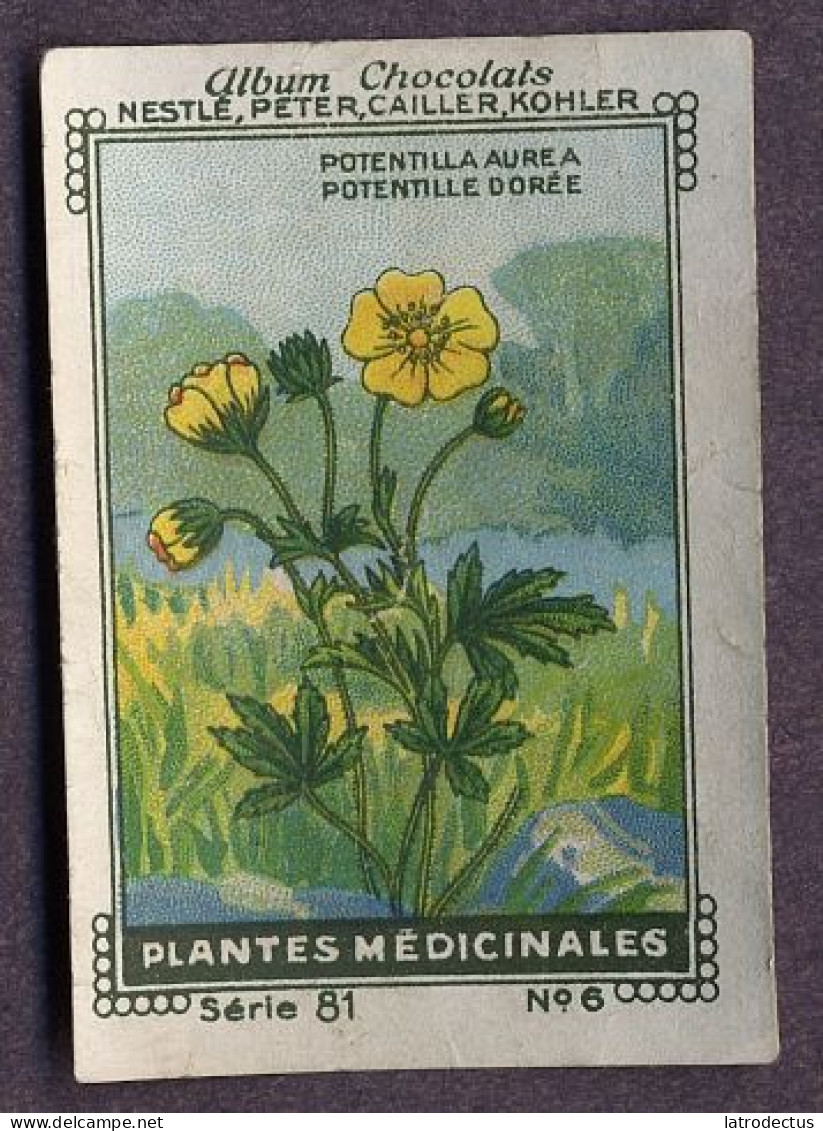 Nestlé - 86 - Plantes Médicinales, Medicinal Plants - 6 - Potentilla Aurea, Potentille Dorée - Nestlé