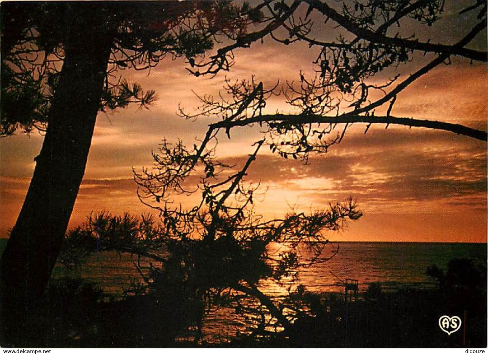 Coucher De Soleil - CPM - Voir Scans Recto-Verso - Contre La Lumière