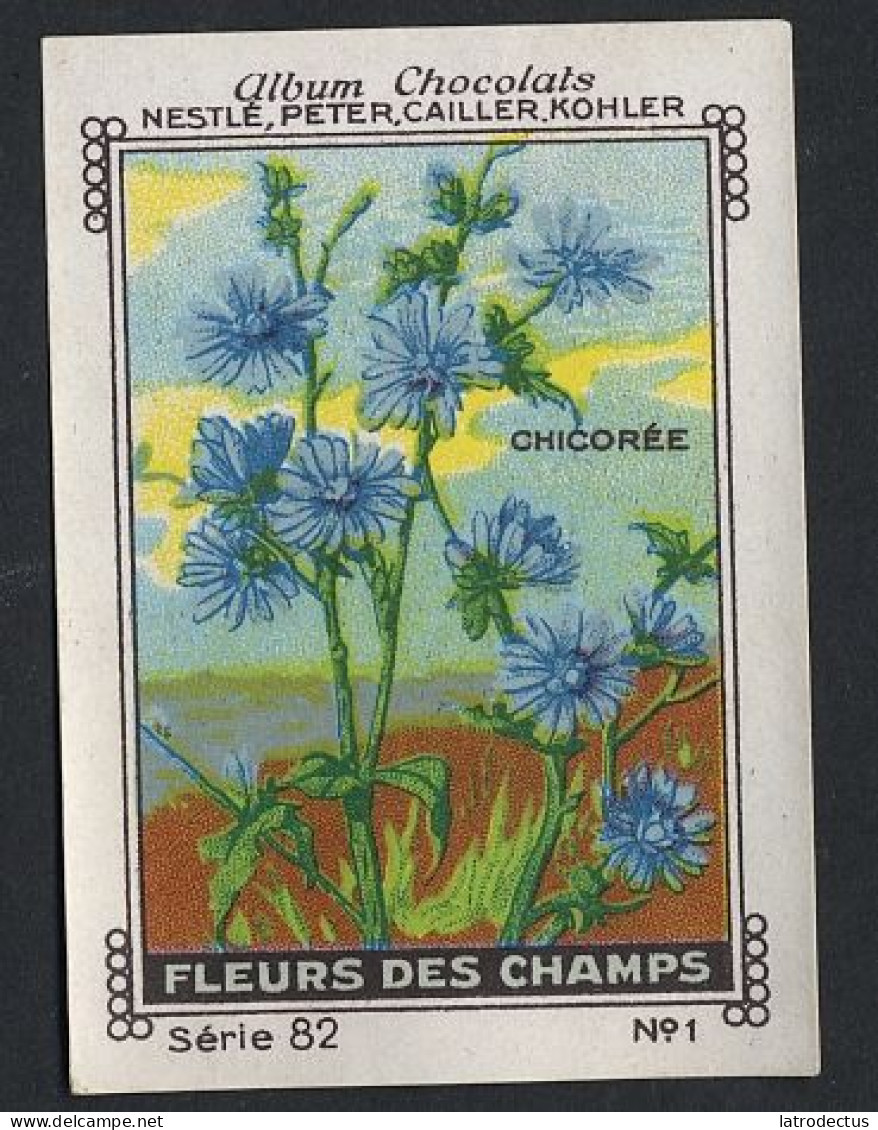 Nestlé - 82 - Fleur De Champs, Field Flowers - 1 - Chicorée - Nestlé