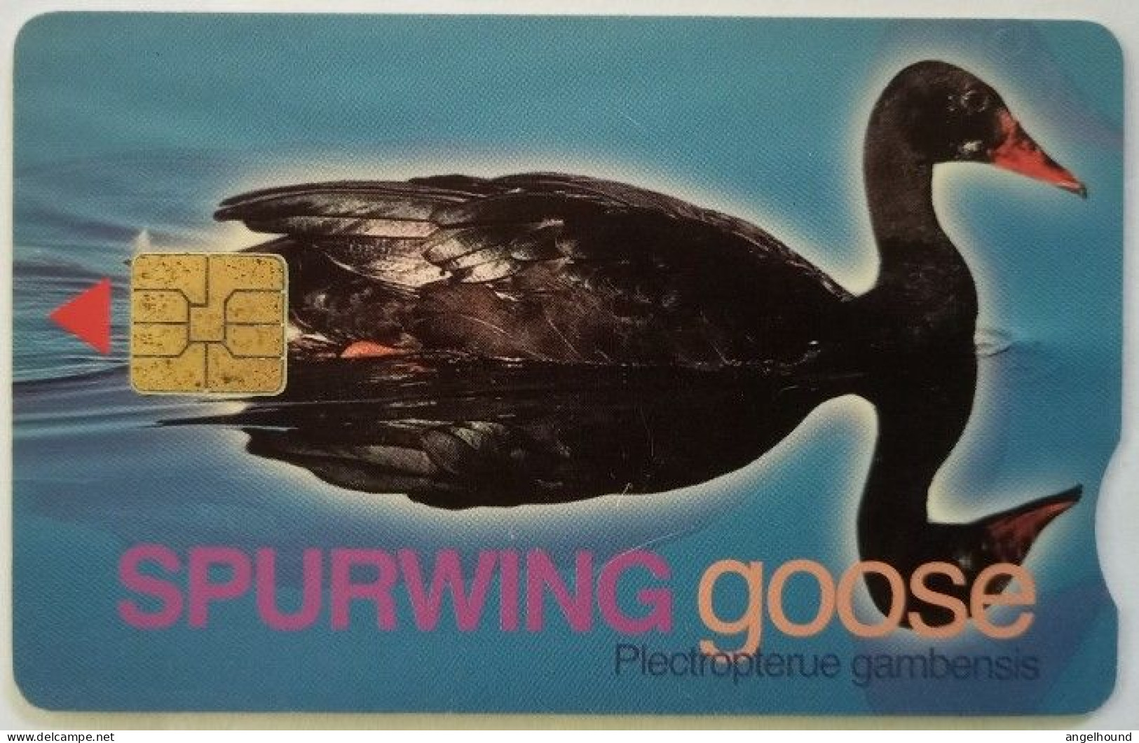 South Africa R20 Chip Card - Goose - Afrique Du Sud