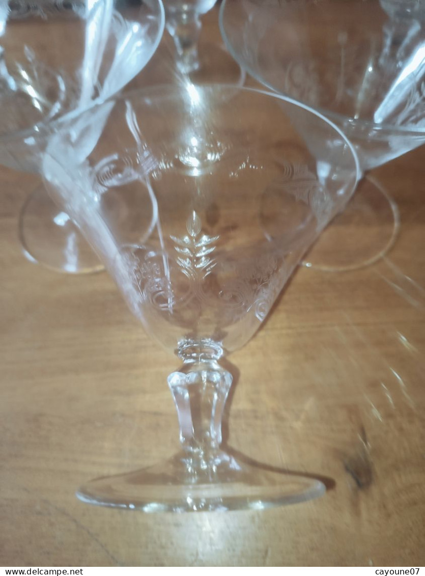 Six Coupes à Champagne  En Cristal Gravé Décor De Fleurs Feuillage Et Frise Dans Le Goût De Baccarat St Louis - Vidrio & Cristal