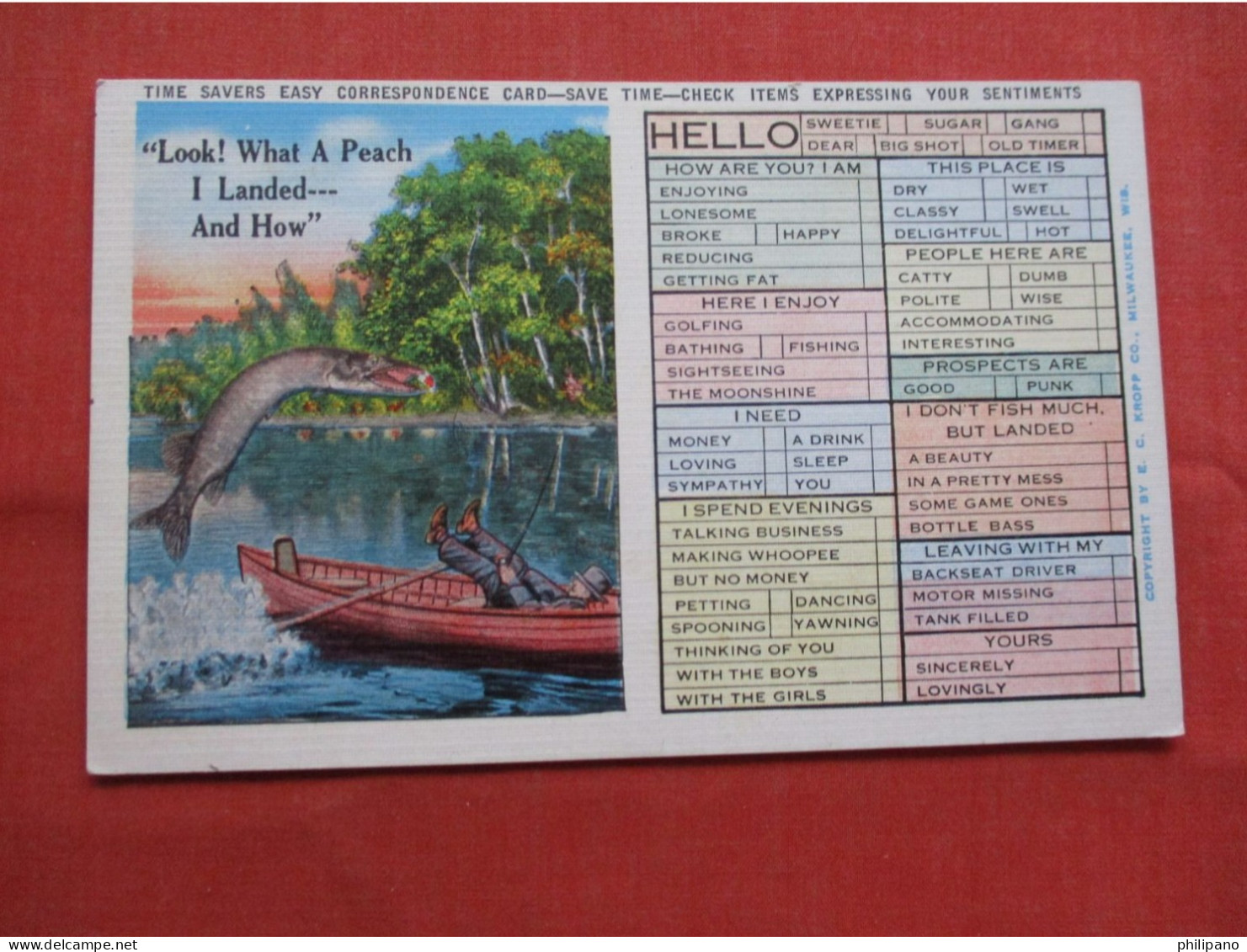 Time Saver Easy Correspondence Card.   Fishing.  Ref 6367 - Angelsport