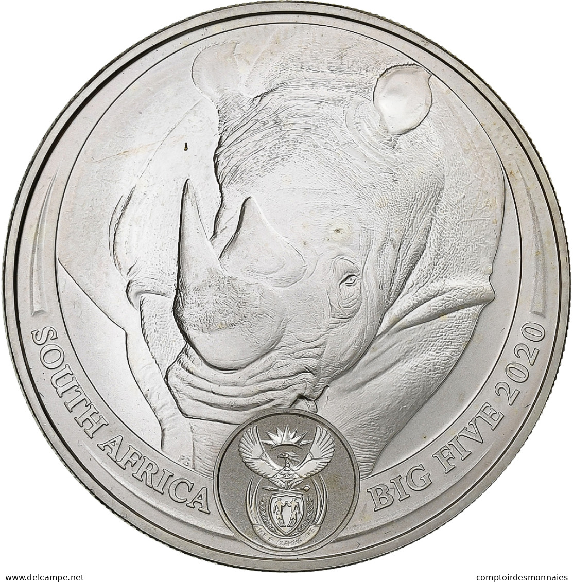 Afrique Du Sud, 5 Rand, Rhinocéros, 2020, South Africa Mint, 1 Oz, Argent, SUP - South Africa