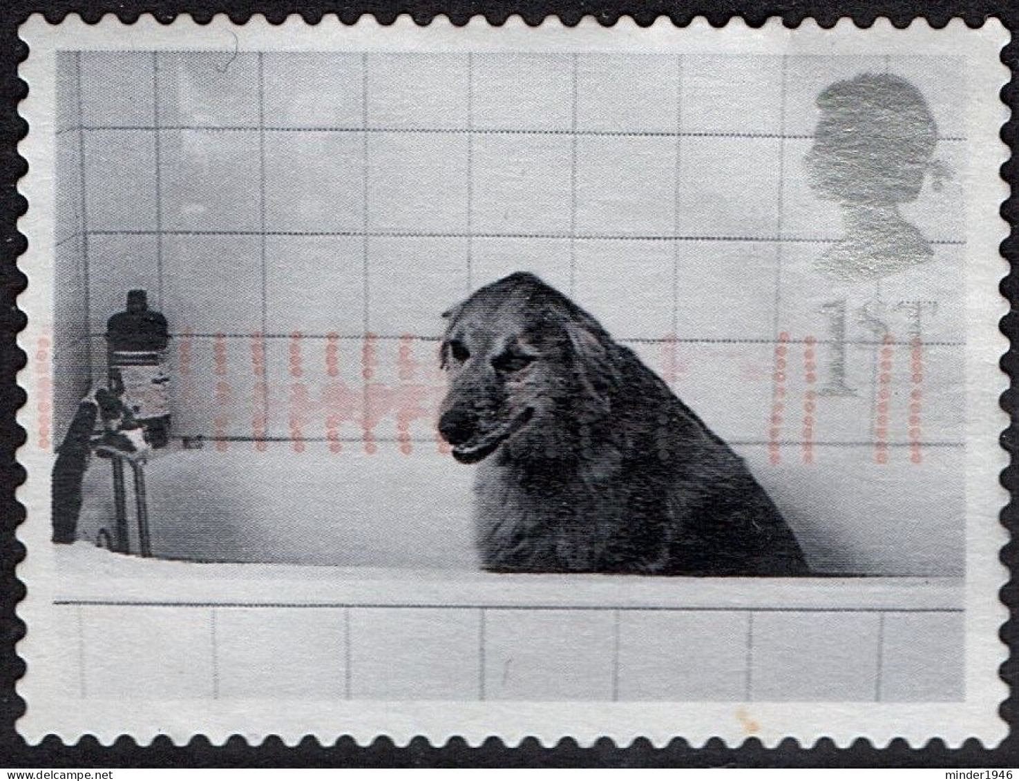GREAT BRITAIN 2001 QEII 1st Black & Grey, Cats & Dogs-Dog In Bath SG2188 Used - Gebruikt