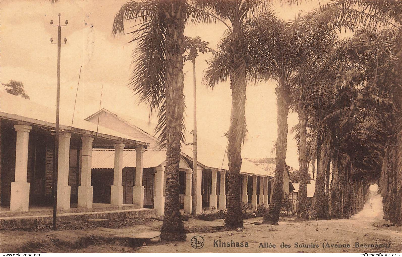 CONGO - Kinshasa - Allée Des Soupirs ( Avenue Beernaert)  - Carte Postale Ancienne - Kinshasa - Léopoldville