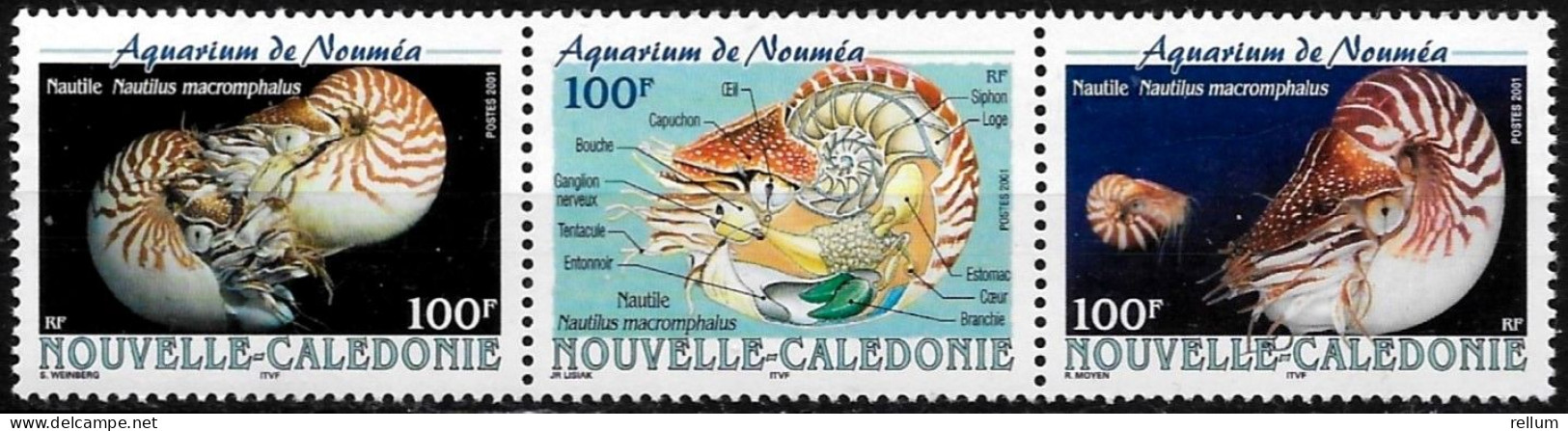 Nouvelle Calédonie 2001 - Yvert Et Tellier Nr. 840/842 Se Tenant - Michel Nr. 1234/1236 Zusammenhängend ** - Unused Stamps