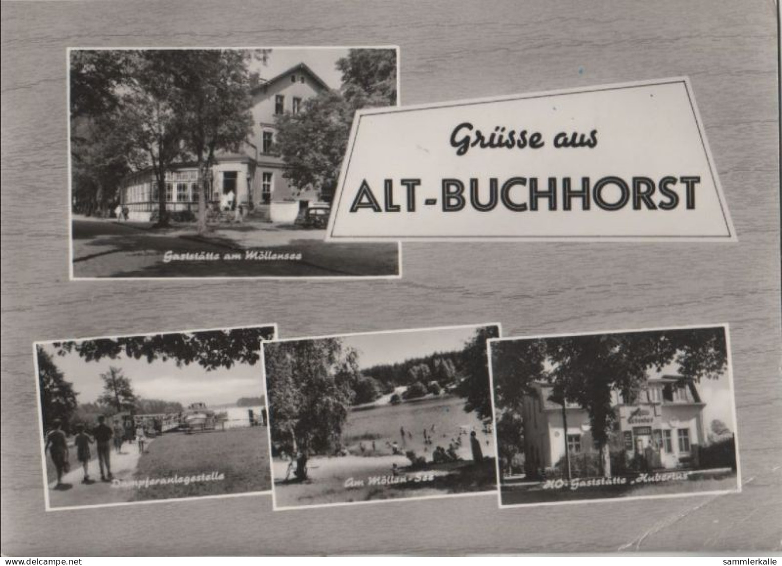 83347 - Grünheide, Alt-Buchhorst - U.a. Am Möllensee - 1967 - Grünheide